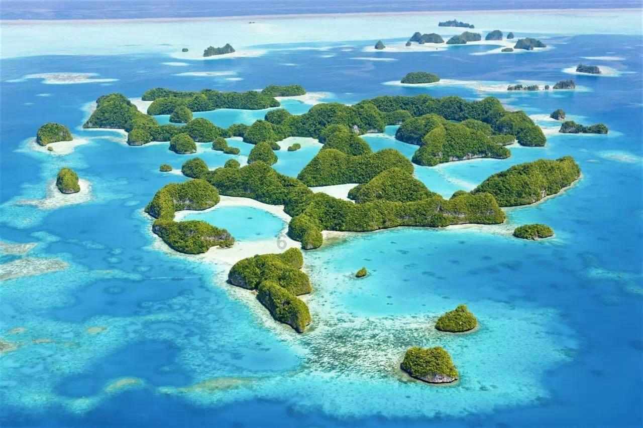 拯救可爱小怪